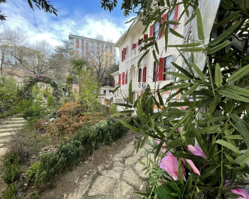 Yüz Yıllık Mucize – Dizi Dekorasyon - Peyzaj